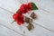 Top view of young hermann turtles on white wooden background with a red hibiscus flower. top view