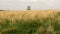 Top of the water tank with radio transmitters in the grass field