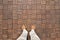 Top wide angle view on two feet in shoes standing on wooden floor. Brown checkers pattern.