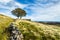 Top Withens, Haworth Moor. Yorkshire