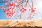 pink cherry blossom flower sakura on sky background in spring season.