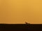 Topi silhoutte at sunset at masai Mara Game Reserve,Kenya