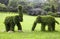 Topiary elephants