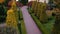 Topiary form of haircut plants in the park.