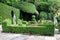 Topiary in a Formal Garden