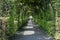 Topiary formal garden arch path