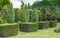 Topiary in the garden