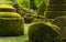 Topiary garden at Longwood Gardens, PA.