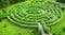 Topiary garden in the shape of a labyrinth.