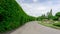 Topiary garden style, asphalt road in gardens with hedge round shape of bush and shrub, decoration with greenery wall plant