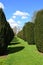 Topiary, Hinton Ampner House and Garden, Hampshire, England.