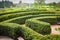 Topiary Maze