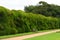 Topiary - Montacute House, Somerset, England