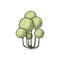 Topiary pictogram vector sketch shearing plants icon 5