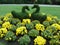 Topiary swans in Spring garden