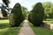 Topiary trees avenue