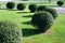 Topiary trimmed bush