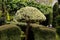 Topiary in Tropical Botanical Garden in Funchal on Madeira island,