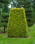 Topiary yew