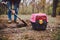 The topic of burial of pets is not legal. Man digs hole with shovel for burying an animal in the forest. The owner makes the grave