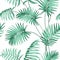 Topical palm leaves