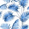 Topical palm leaves