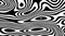 Topographic contour lines. Abstract black and white striped background
