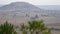 The tops of the pines sway in the wind against the background of the town under the hill