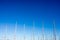 The tops of sailing masts on a blue sky. Copy space. Sailing concept