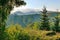 The tops of trees and hills in a bluish haze against the backdrop of mountains and sky