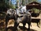 Topslip Kerala India-Jan 25 2014:Tourists enjoying elephant ride in kerala munnar hills station