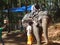 Topslip Kerala India-Jan 25 2014:Tourists enjoying elephant ride in kerala munnar hills station