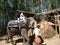 Topslip Kerala India-Jan 25 2014:Tourists enjoying elephant ride in kerala munnar hills station