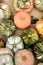 Topview, colorful patty pan pumpkins on wood, summer squash