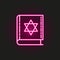Torah Book neon style icon. Simple thin line, outline  of judaism icons for ui and ux, website or mobile application