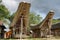 Toraja traditional village housing in Indonesia