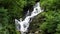 Torc waterfall in Ireland surrounded by greenery