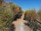 Torcal stone road province of Malaga Andalusia Spain