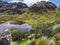 Toreadora lake lagoon and camping at National Park El Cajas, Andean Highlands, Ecuador