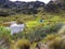 Toreadora lake lagoon and camping at National Park El Cajas, Andean Highlands, Ecuador