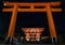 Tori Gate at night at Fushimi Inari Taisha in Kyoto, Japan