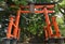 Tori gate shrine or temple red pagoda in Japan