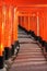 Tori Path in Fushimi Inari