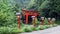 Tori of Taikodani Inari Shrine in Tsuwano