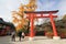 Torii, chinese, architecture, shinto, shrine, japanese, tree, leisure, temple, autumn, historic, site, outdoor, structure, place,