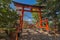 Torii at Chureito pagoda