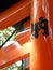 Torii Detail with Kanji at Fushimi Inari