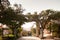 Torii gate against sun light at Naminoue shrine, Naha, Okinawa