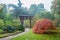 Torii Gate in the Autumn Japanese Garden in Leverkusen is an amazing misty autumn landscape