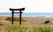 Torii gate in front of the sea.